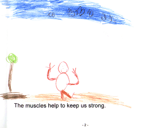 Muscles