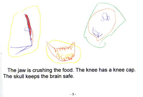 food, knees and skull