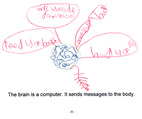 The Brain
